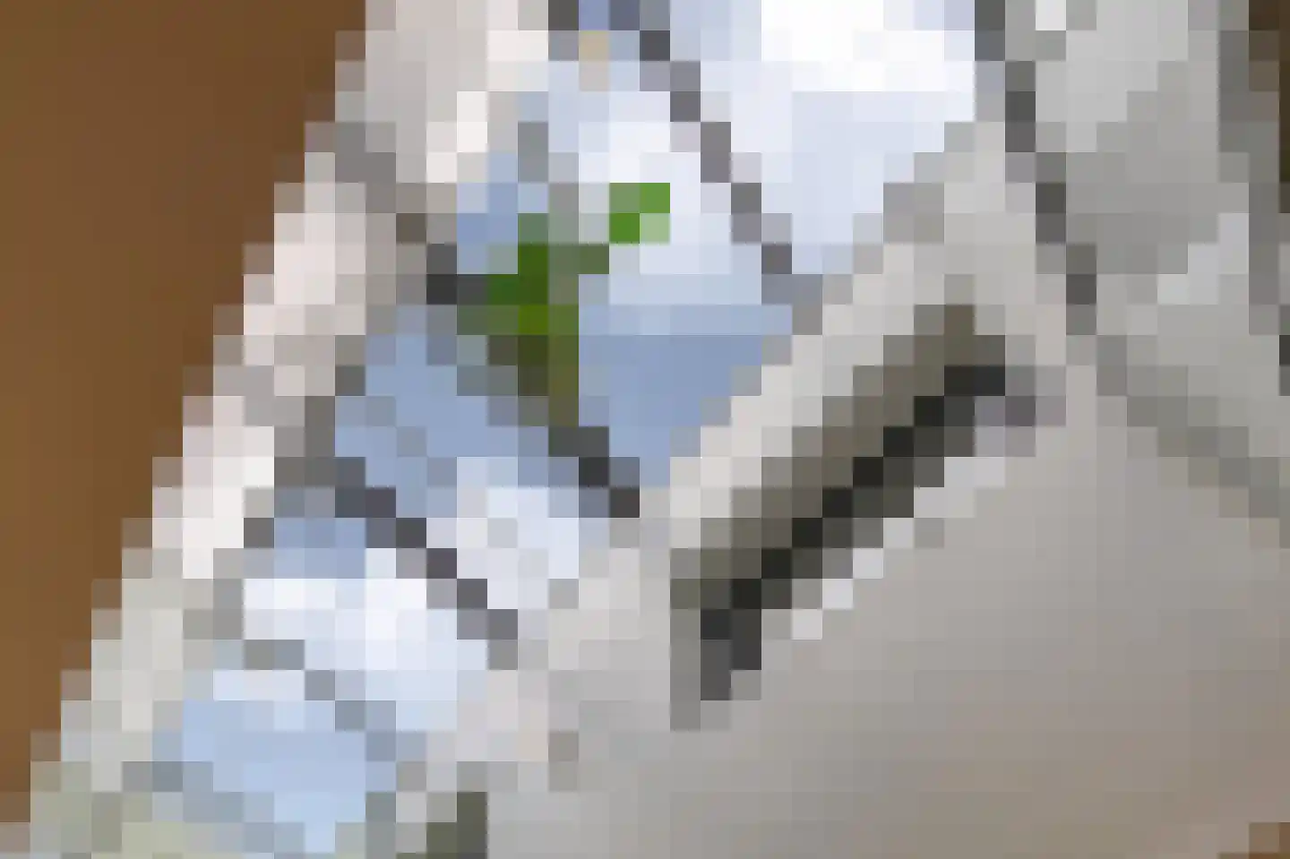 Wiek 1 Wateringen thumbnail 40