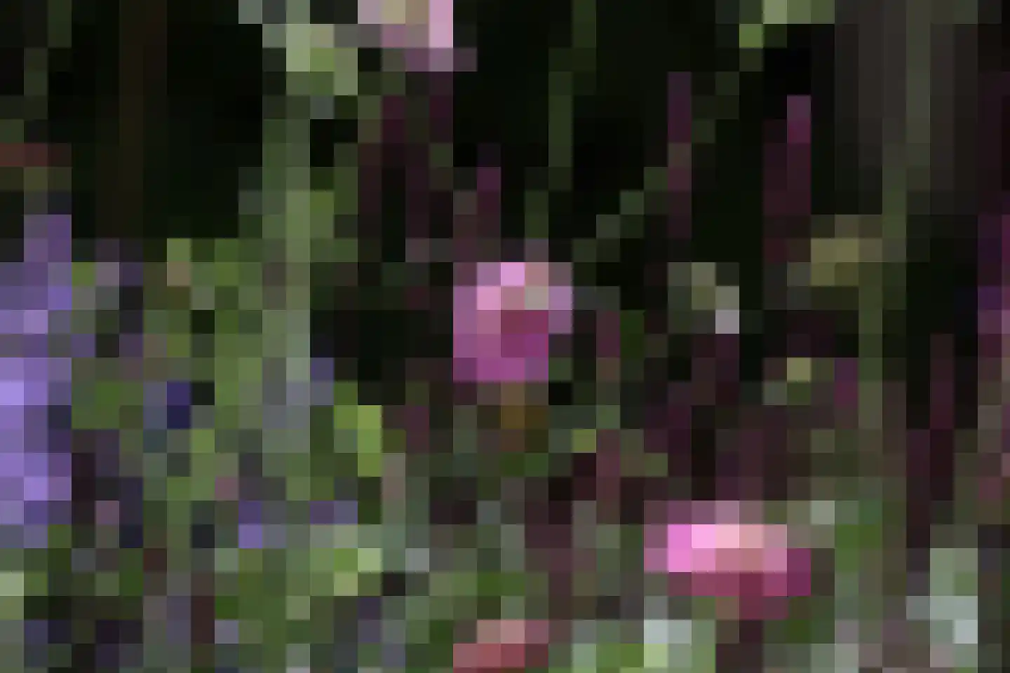 Wiek 1 Wateringen thumbnail 41