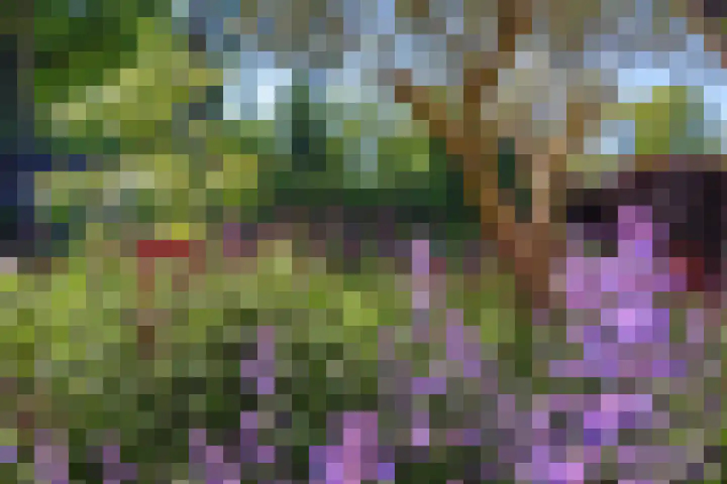 Wiek 1 Wateringen thumbnail 42
