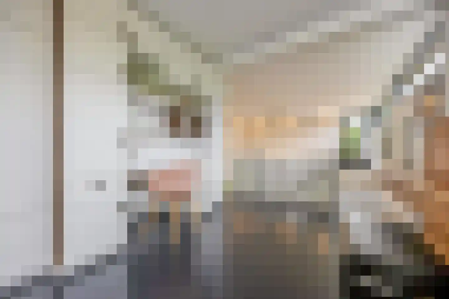 Wiek 1 Wateringen thumbnail 43