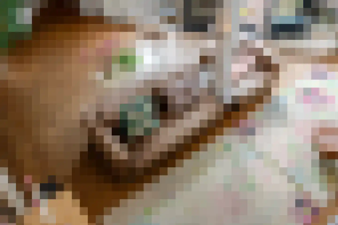 Wiek 1 Wateringen thumbnail 44