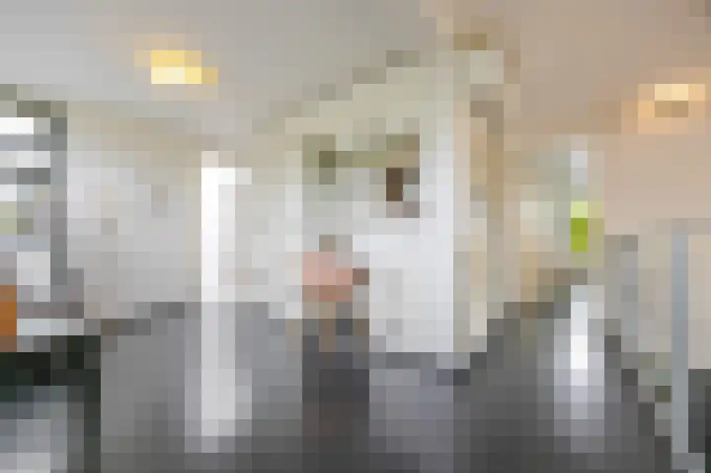 Wiek 1 Wateringen thumbnail 45
