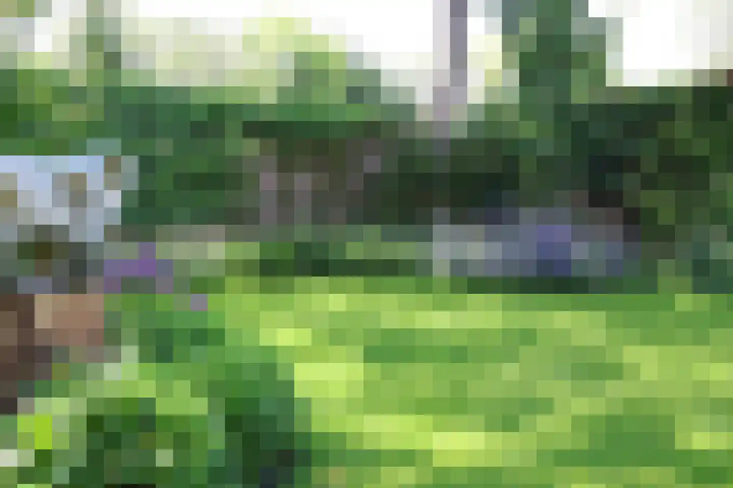 Wiek 1 Wateringen thumbnail 46