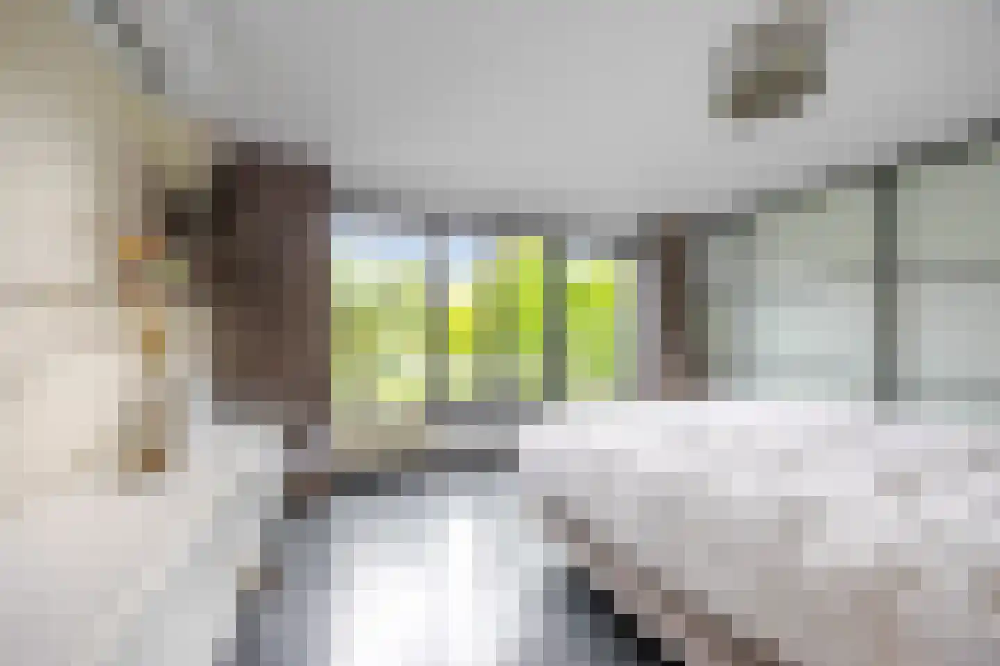 Wiek 1 Wateringen thumbnail 46