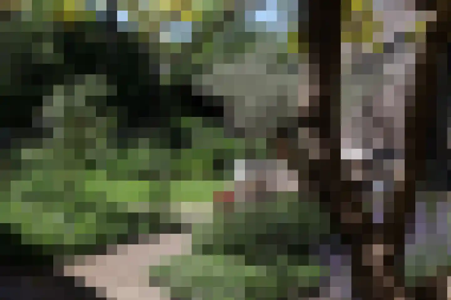 Wiek 1 Wateringen thumbnail 47