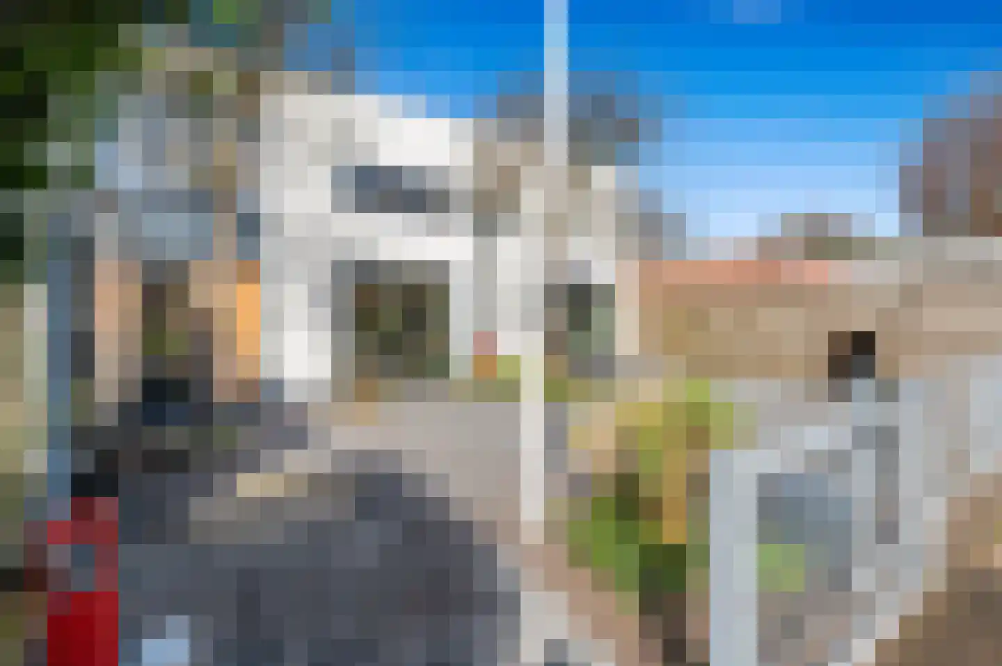 Wiek 1 Wateringen thumbnail 5