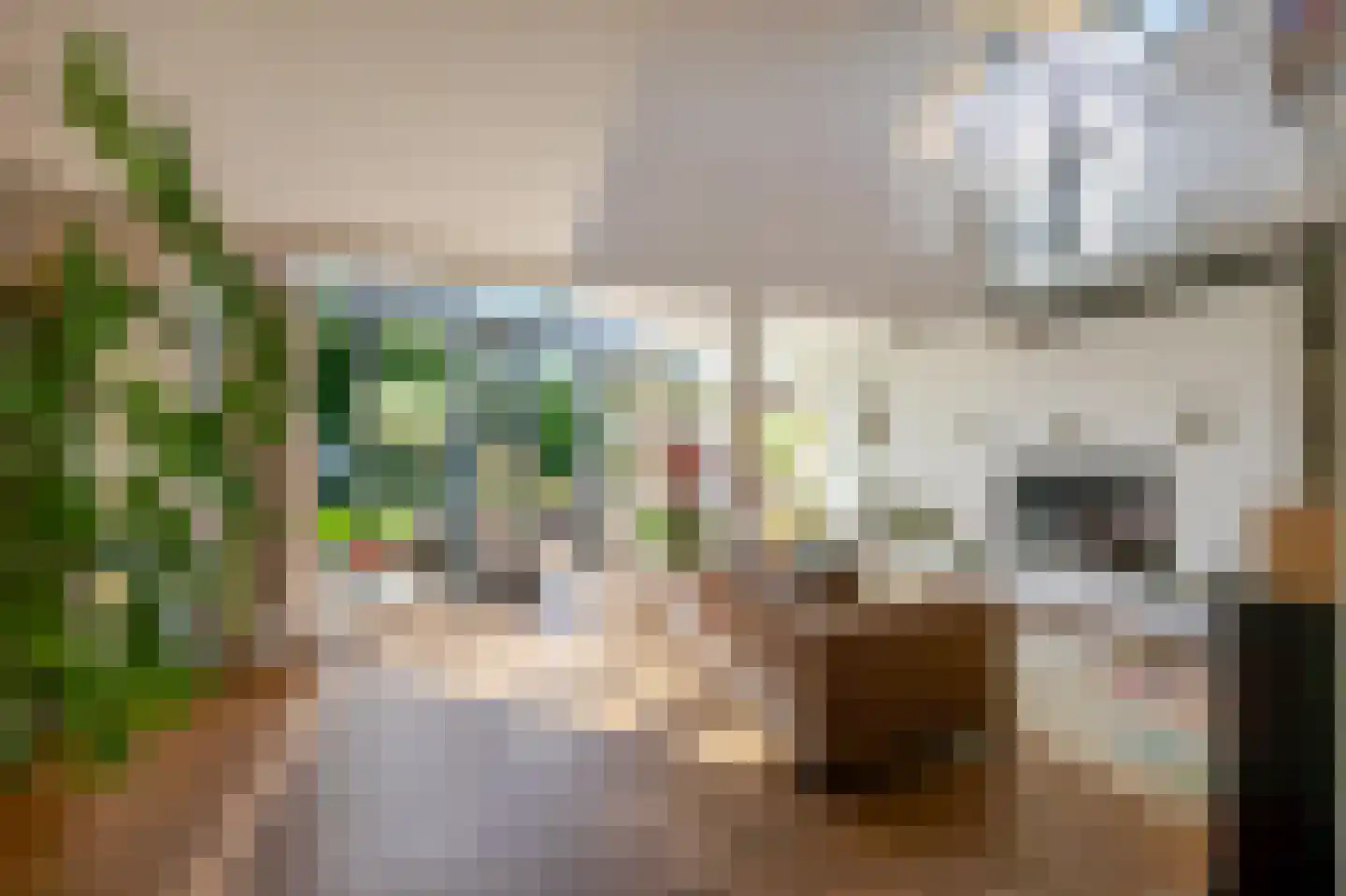 Wiek 1 Wateringen thumbnail 5