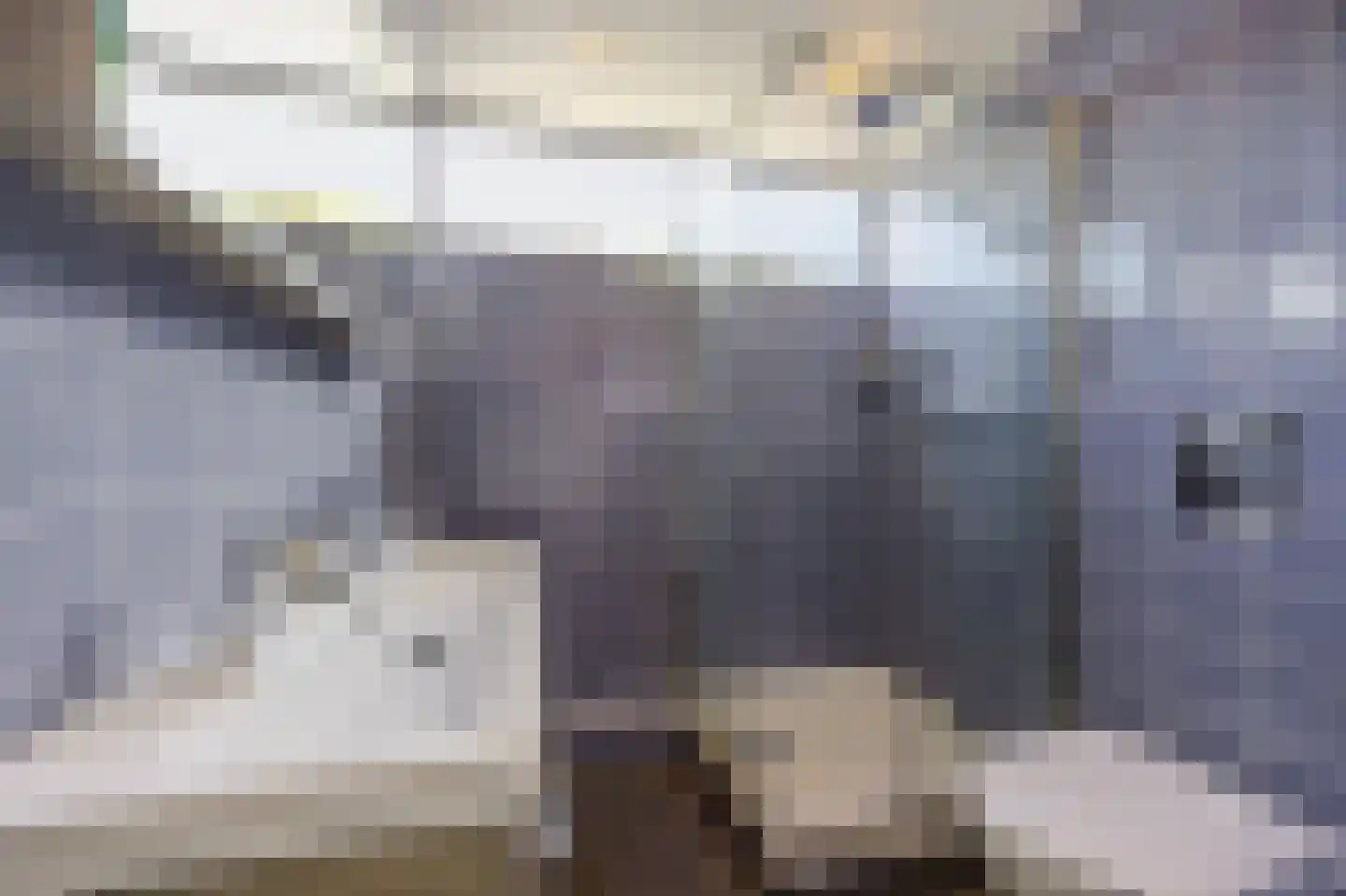 Wiek 1 Wateringen thumbnail 57