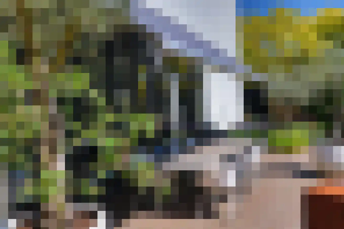 Wiek 1 Wateringen thumbnail 6