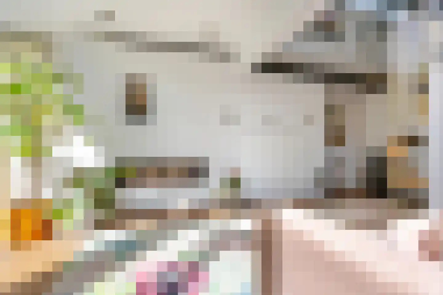 Wiek 1 Wateringen thumbnail 6
