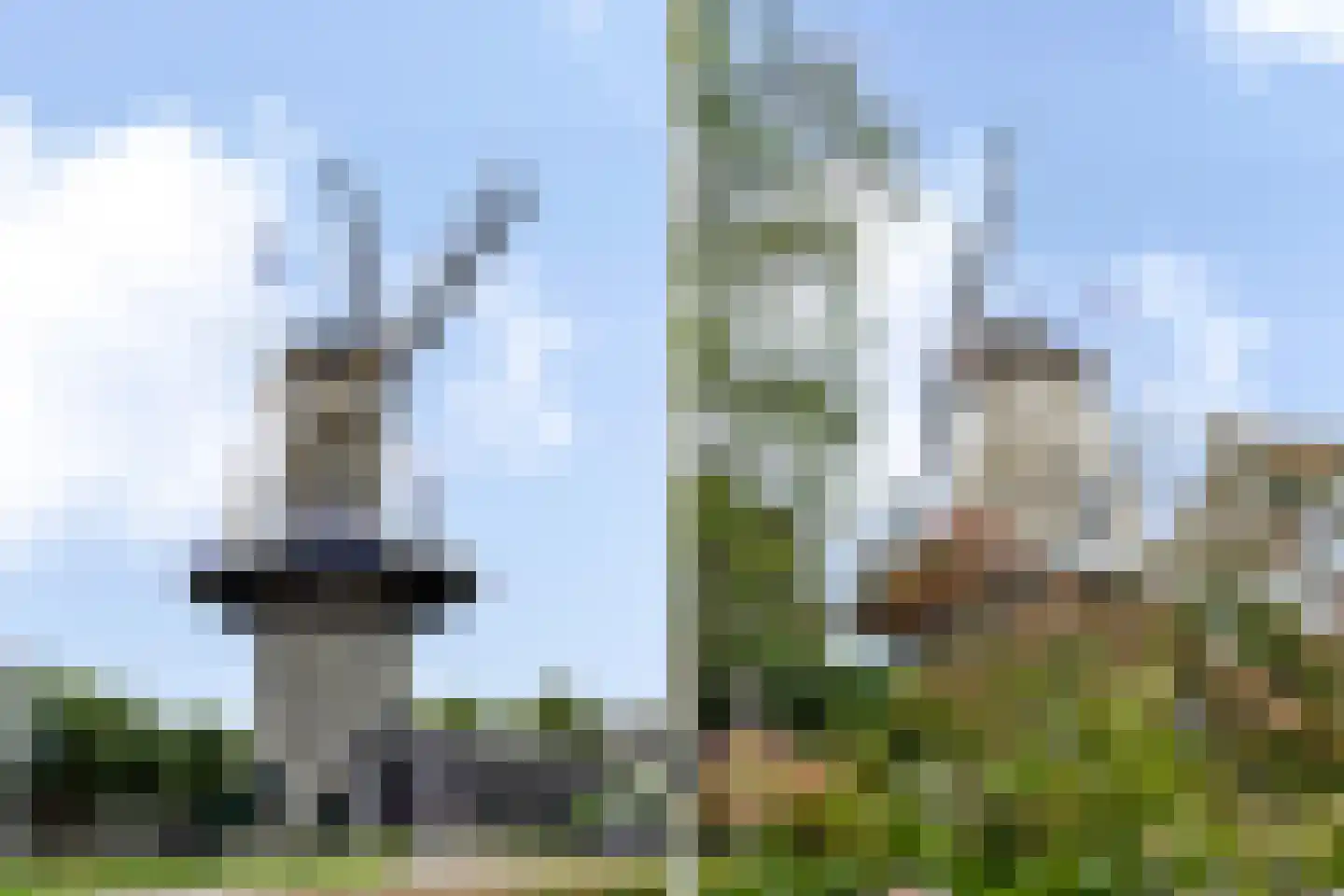 Wiek 1 Wateringen thumbnail 61