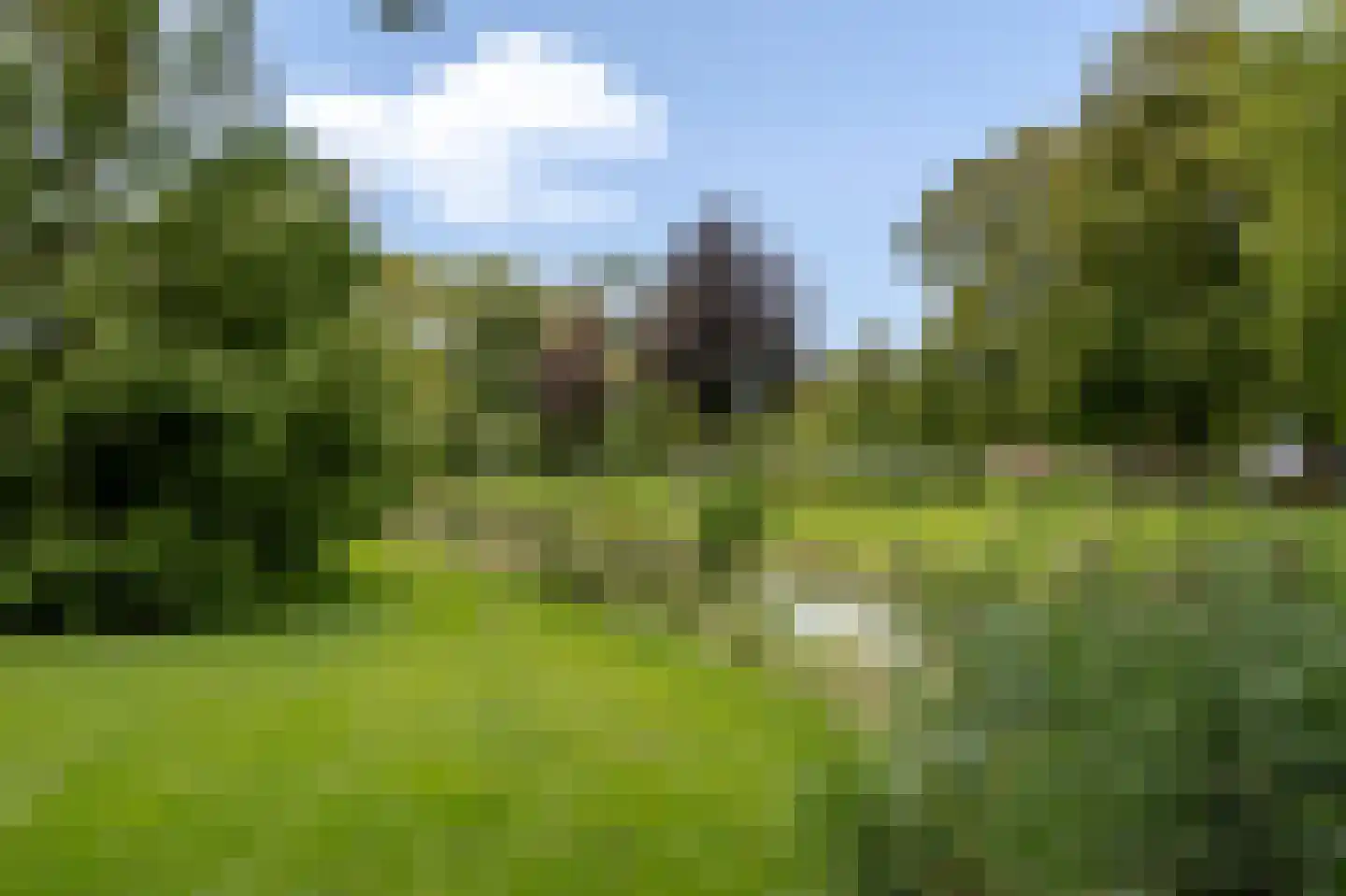 Wiek 1 Wateringen thumbnail 62