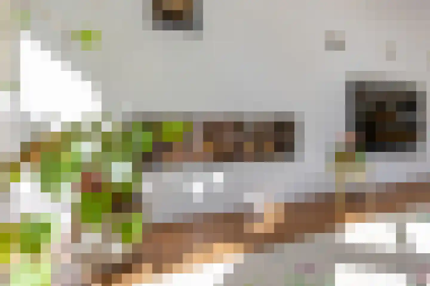 Wiek 1 Wateringen thumbnail 7