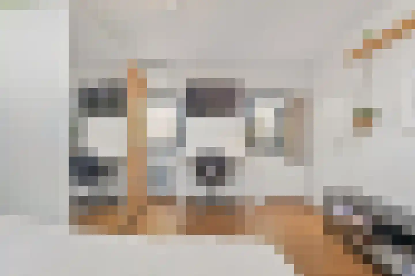 Wiek 1 Wateringen thumbnail 70