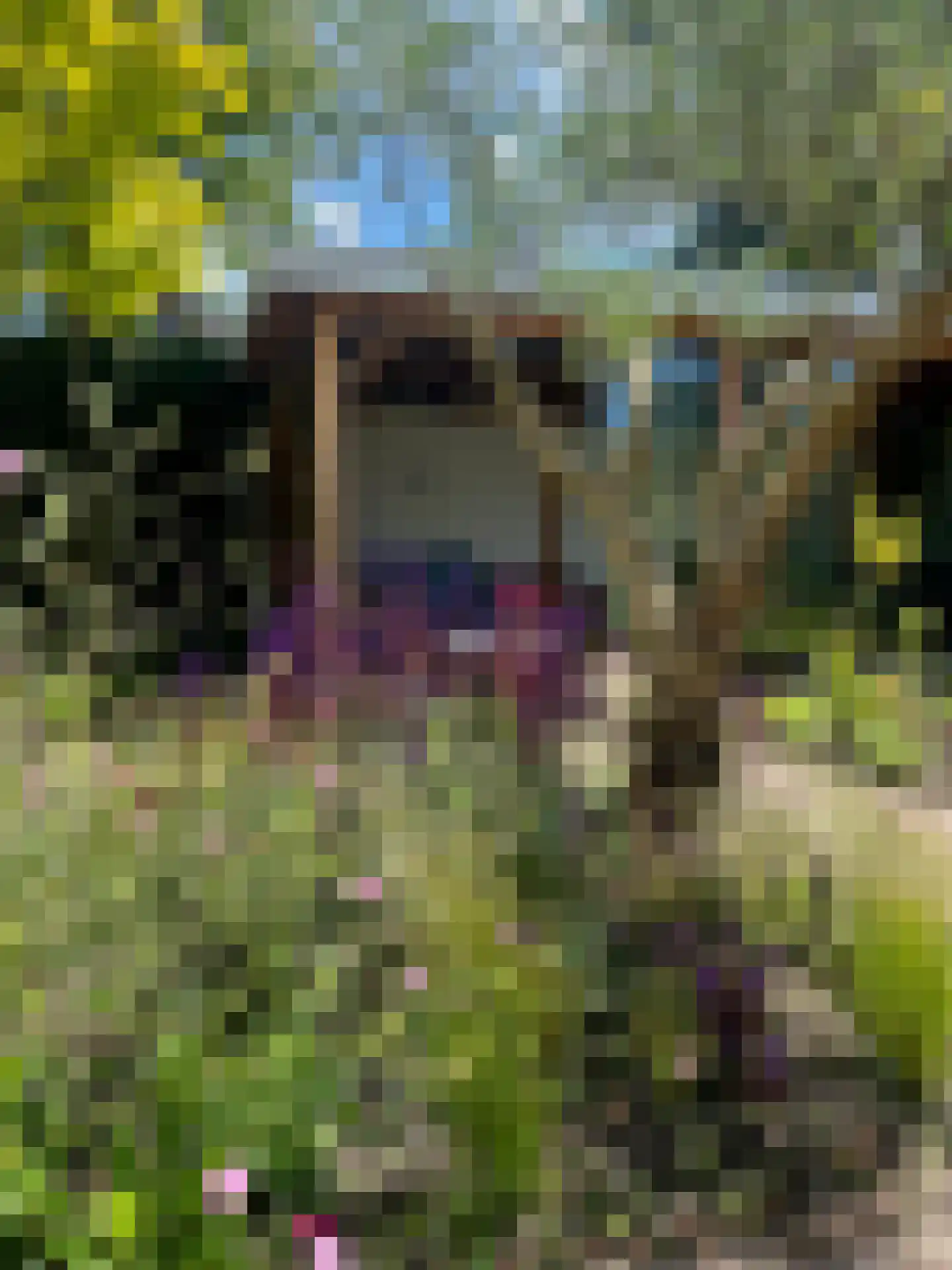 Wiek 1 Wateringen thumbnail 74