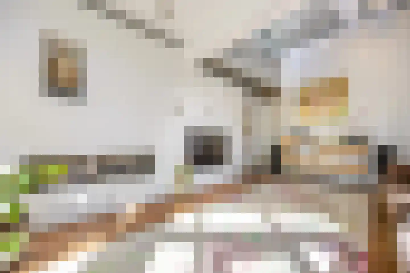 Wiek 1 Wateringen thumbnail 8