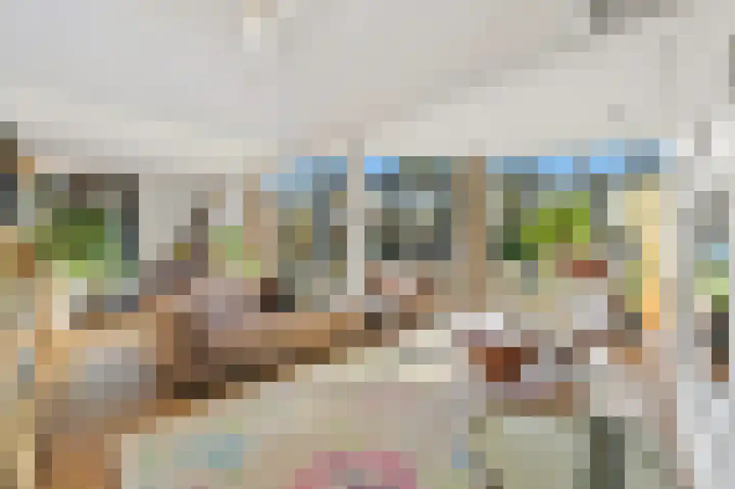 Wiek 1 Wateringen thumbnail 9