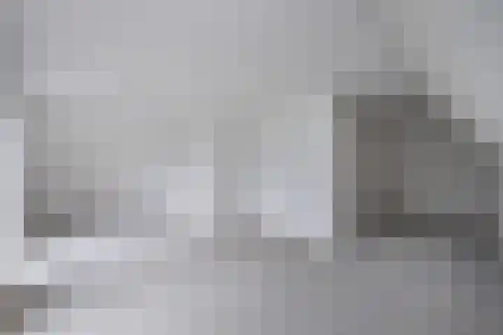 Wiek 20 Zwolle thumbnail 25