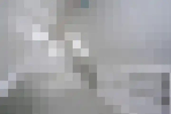 Wiek 20 Zwolle thumbnail 30