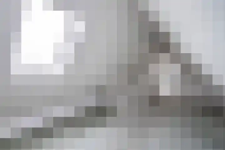 Wiek 20 Zwolle thumbnail 31