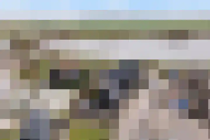 Wiek 20 Zwolle thumbnail 34