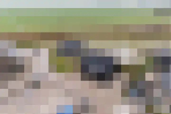 Wiek 20 Zwolle thumbnail 4