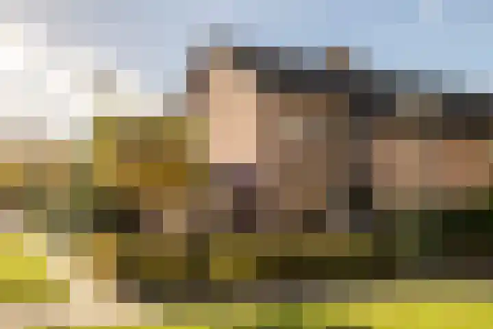 Wiek 48 in Ulvenhout