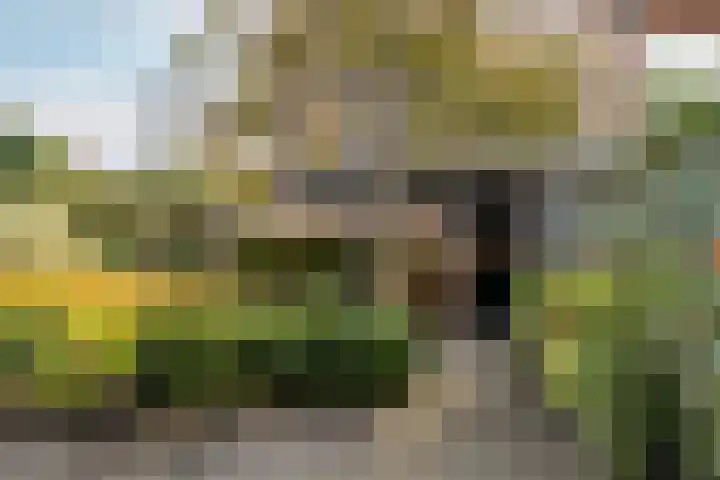 Wiek 48 Ulvenhout thumbnail 22