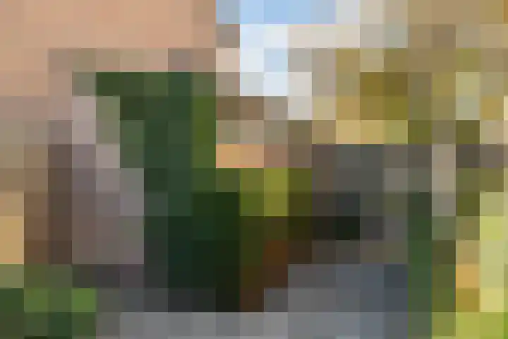 Wiek 48 Ulvenhout thumbnail 23