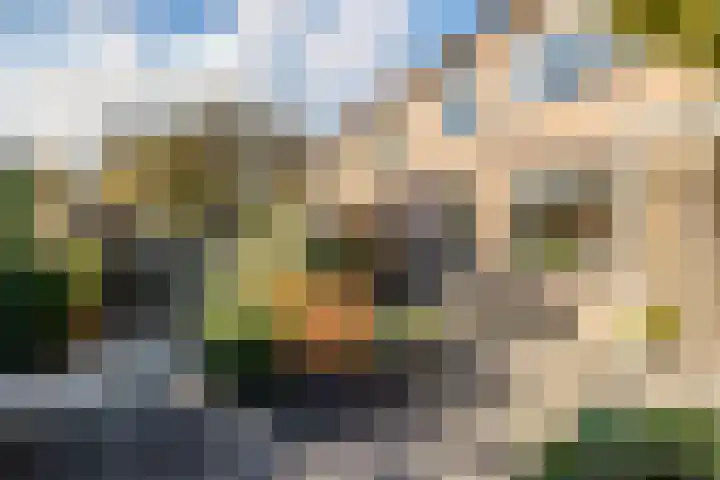 Wiek 48 Ulvenhout thumbnail 24