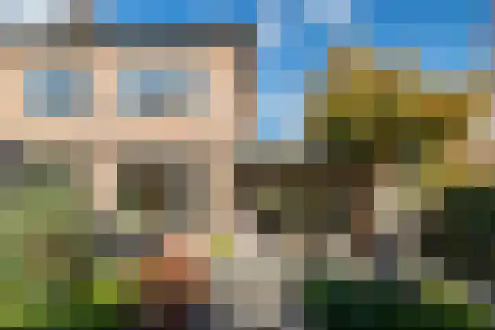 Wiek 48 Ulvenhout thumbnail 25