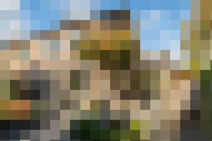 Wiek 48 Ulvenhout thumbnail 26