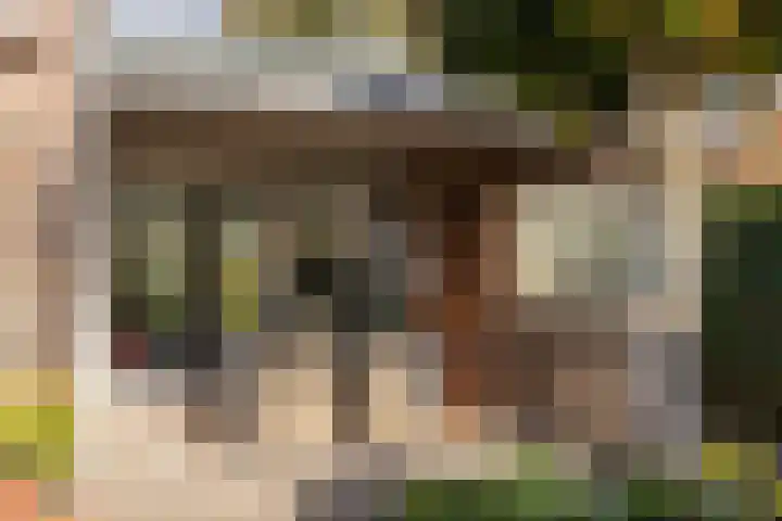 Wiek 48 Ulvenhout thumbnail 27