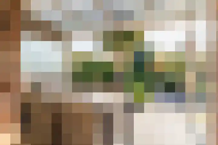 Wiek 48 Ulvenhout thumbnail 28