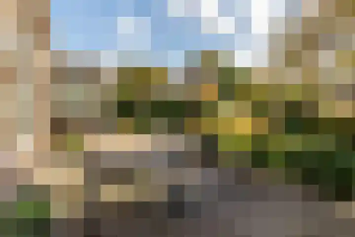 Wiek 48 Ulvenhout thumbnail 30