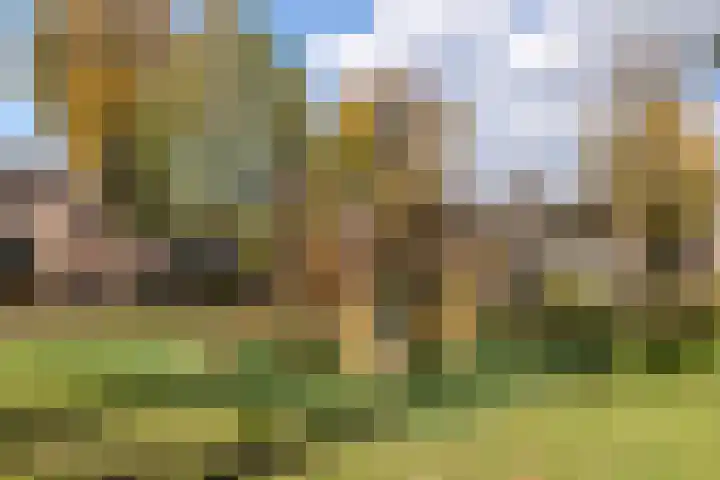 Wiek 48 Ulvenhout thumbnail 45