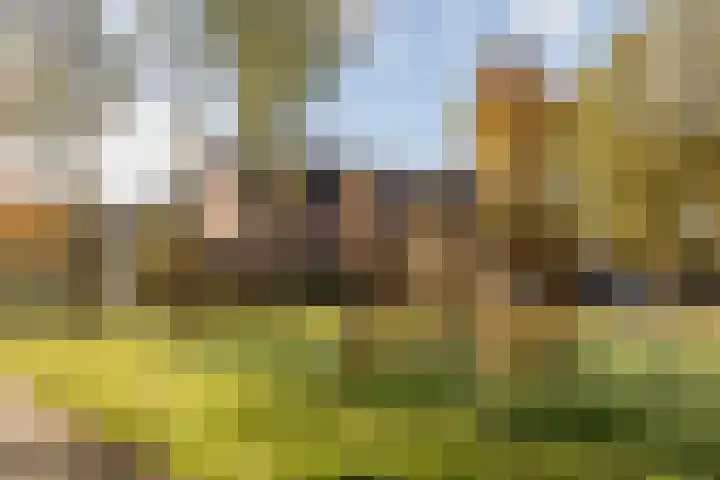 Wiek 48 Ulvenhout thumbnail 46