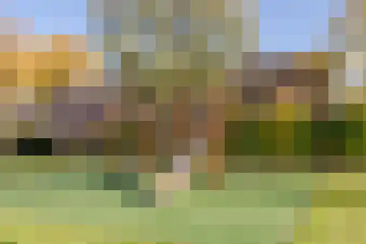 Wiek 48 Ulvenhout thumbnail 47