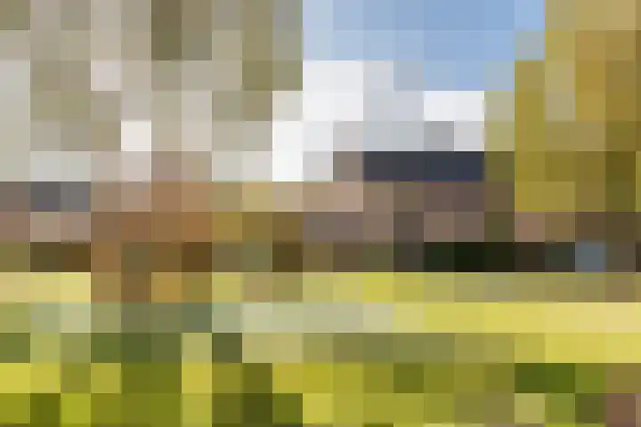 Wiek 48 Ulvenhout thumbnail 48
