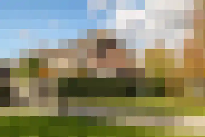 Wiek 48 Ulvenhout thumbnail 49