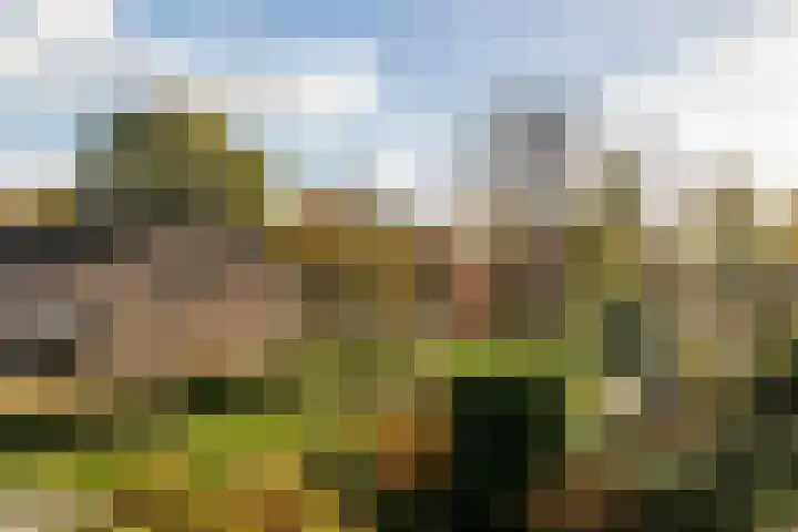 Wiek 48 Ulvenhout thumbnail 50