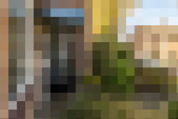 Wiek 48 Ulvenhout thumbnail 8