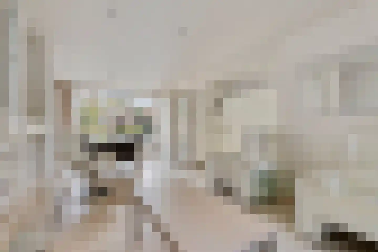 Wiek 66 Ulvenhout thumbnail 13