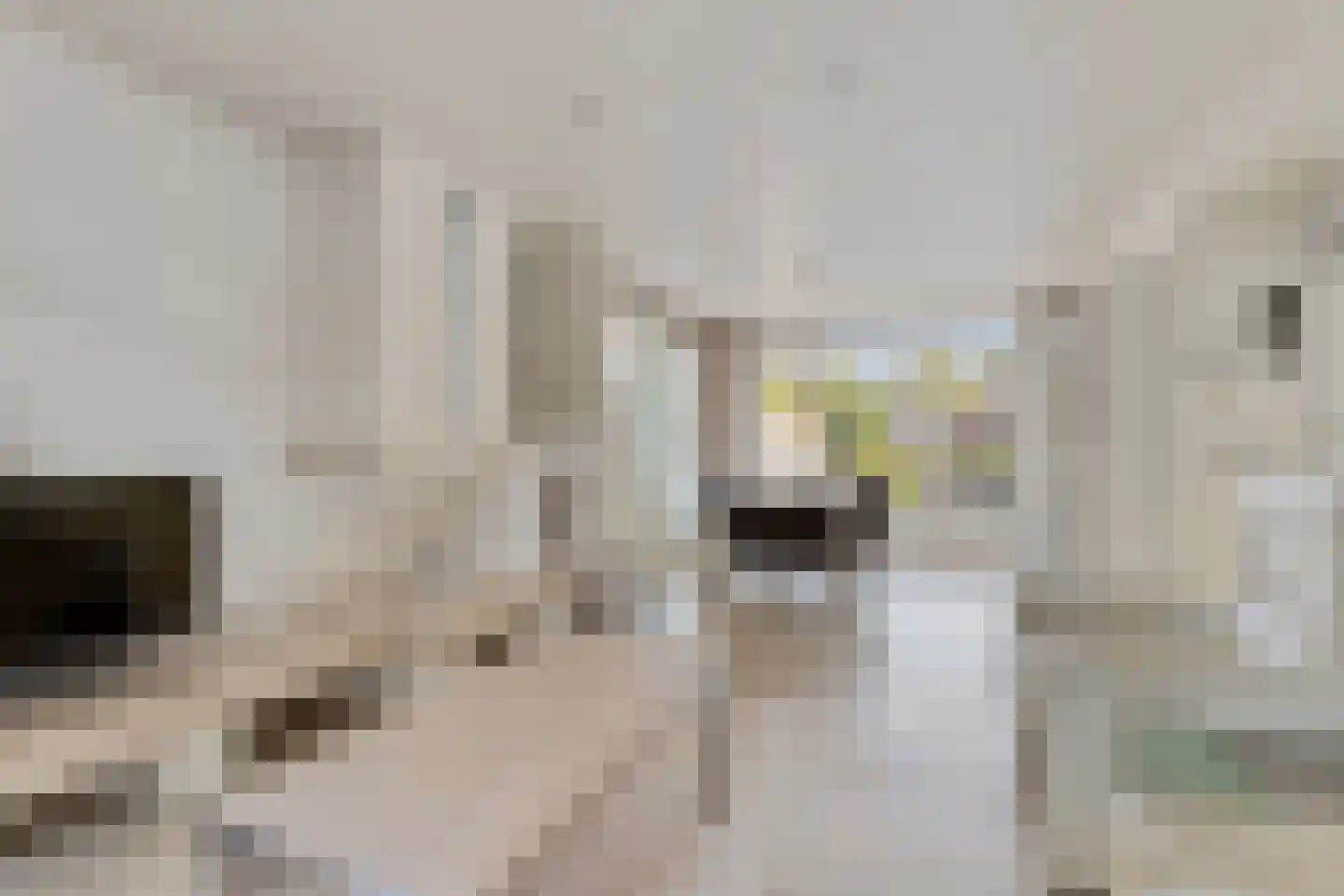 Wiek 66 Ulvenhout thumbnail 14