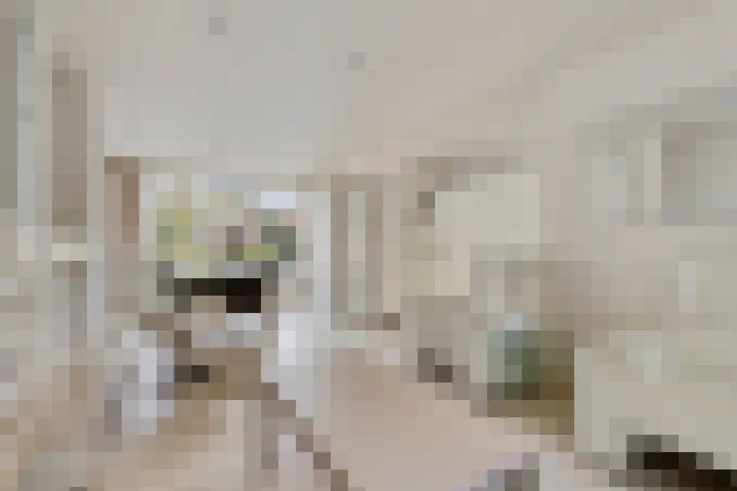 Wiek 66 Ulvenhout thumbnail 4