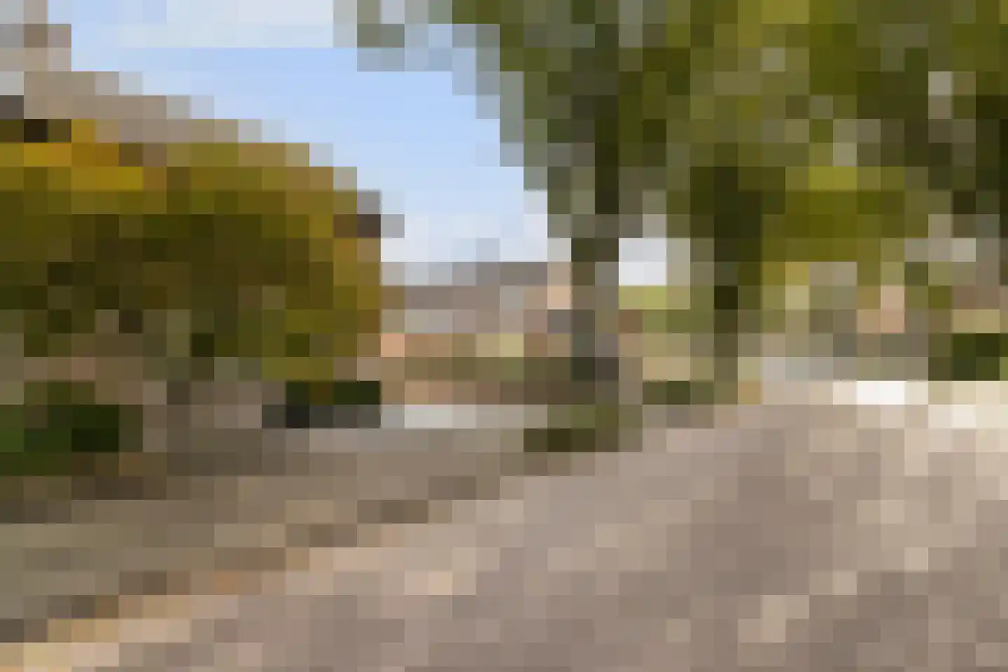 Wiek 66 Ulvenhout thumbnail 42