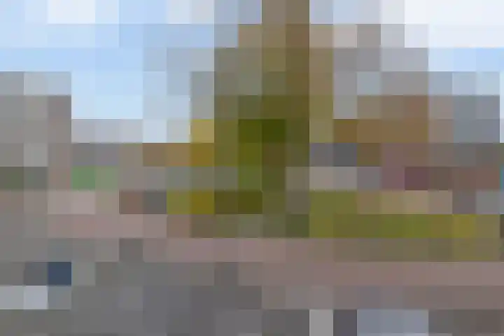 Wiekedreef 64 Stadskanaal thumbnail 18