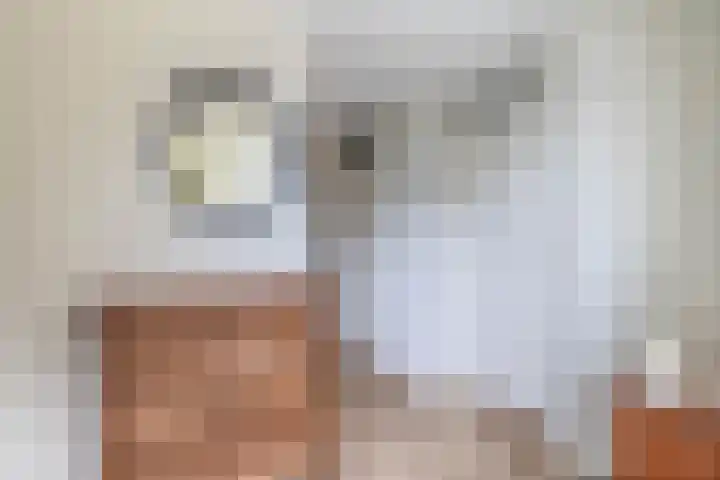 Wiekedreef 64 Stadskanaal thumbnail 22