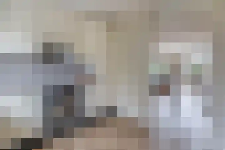 Wiekedreef 64 Stadskanaal thumbnail 30