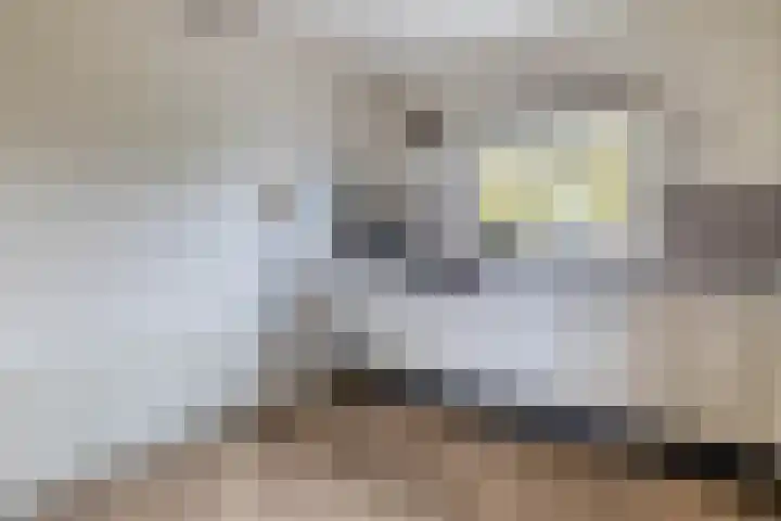 Wiekedreef 64 Stadskanaal thumbnail 32